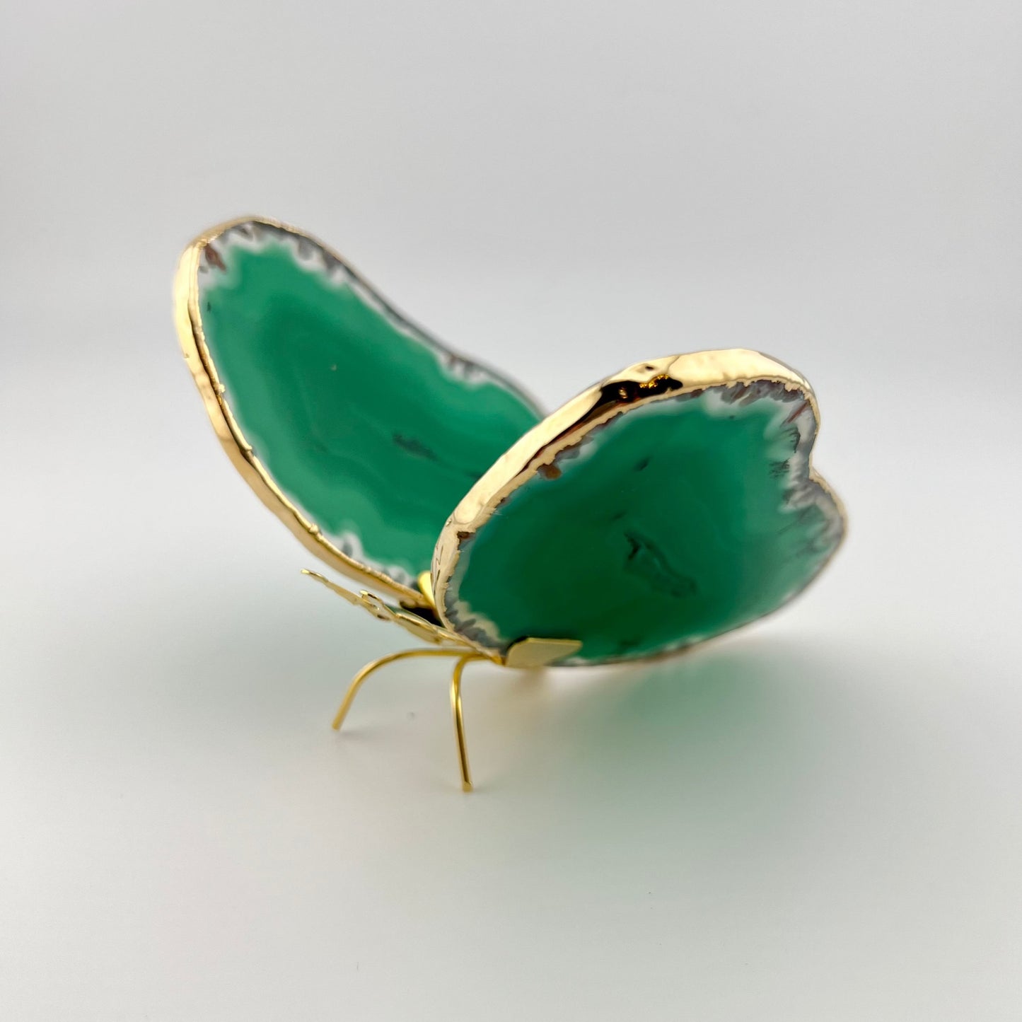 Green Soul Butterfly