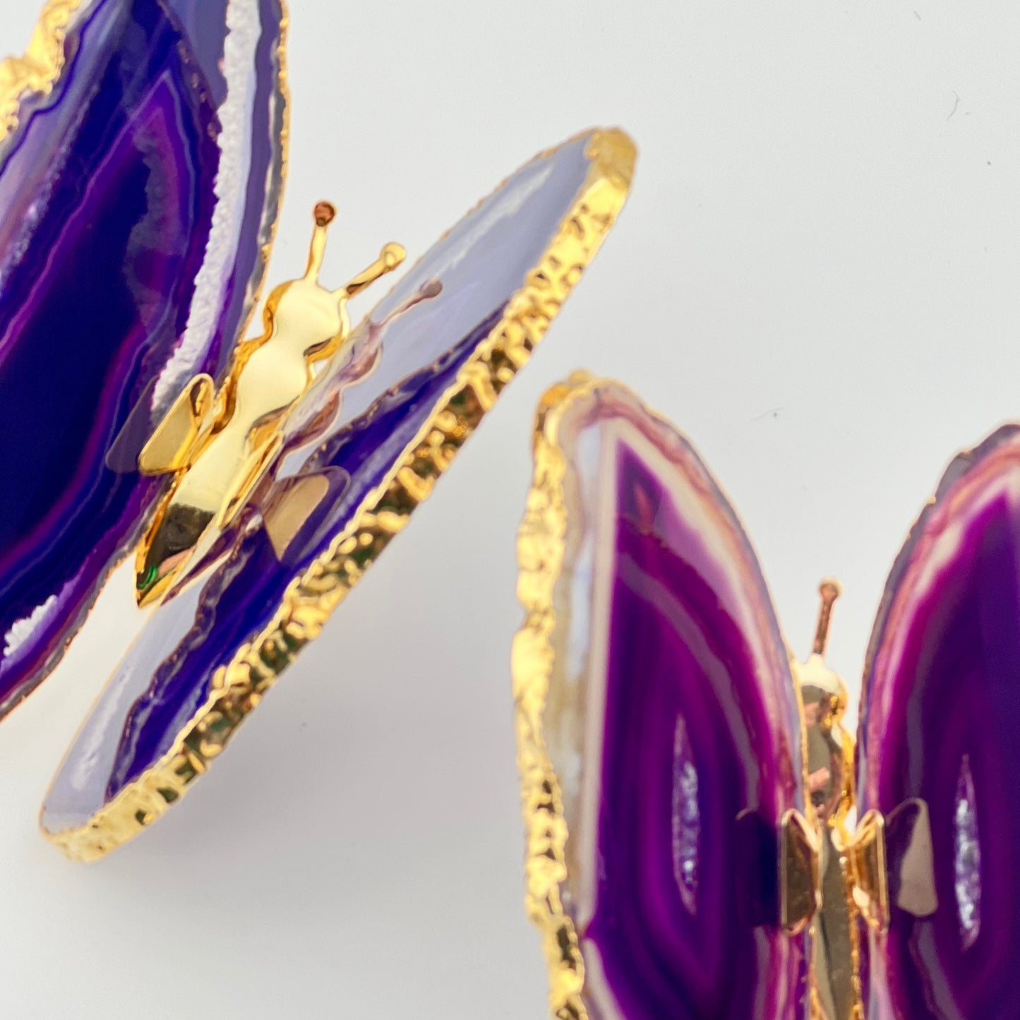 Purple Soul Butterfly